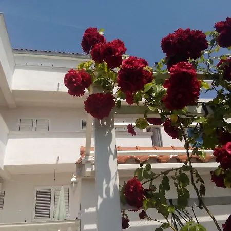 Nik Apartment *